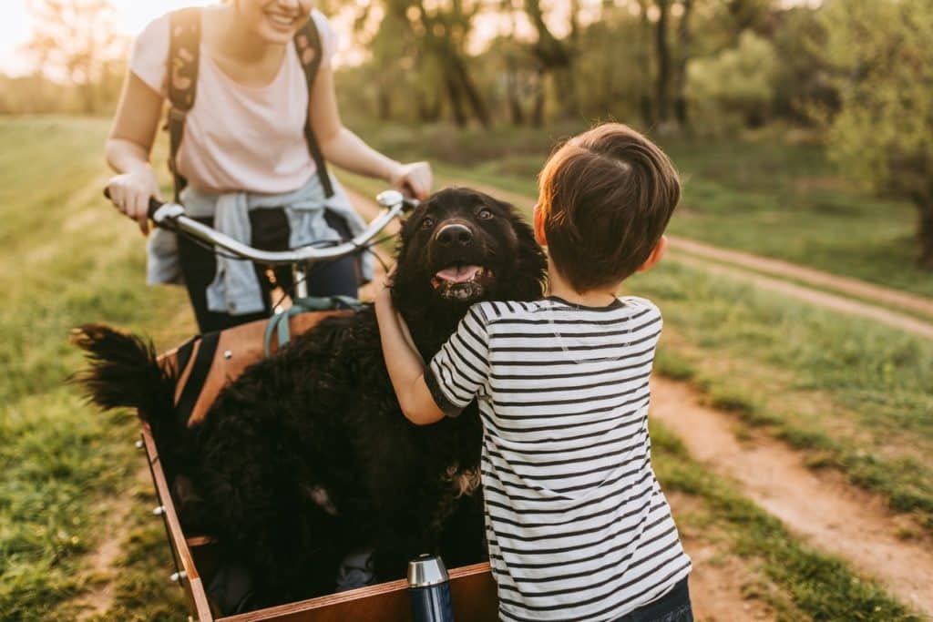 A cute dog biking with a pet parent and child