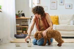 Pet sitter feeding dog in living room