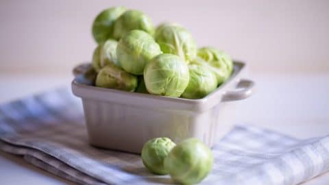 Brussels sprouts ready for a dog to eat