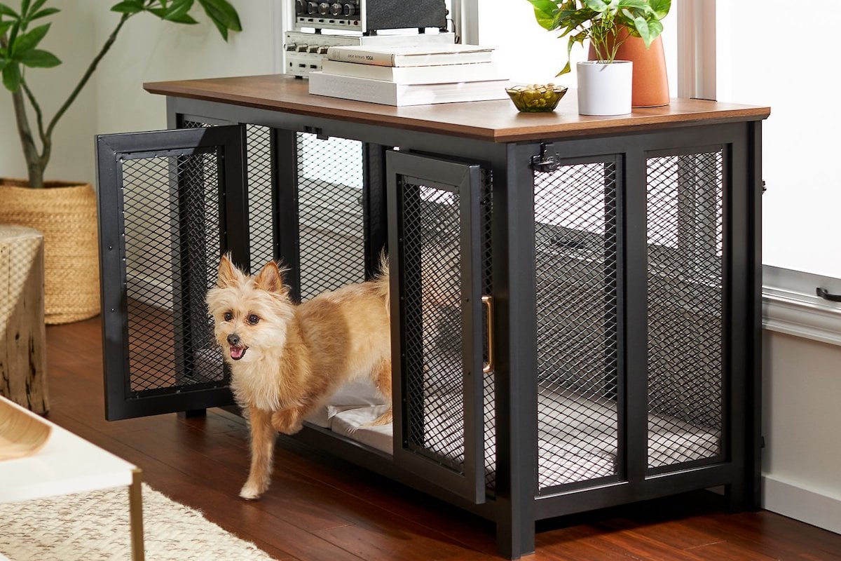The Best Dog Crate Furniture for Fashion and Function