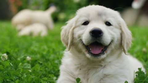 Gorodenkoff via iStock