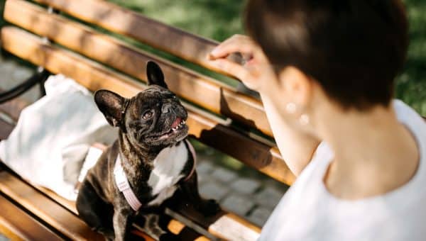 Woman offers treat to dog sitting on a park bench