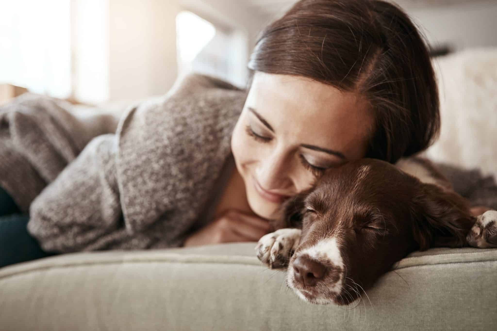 What Do Dogs Dream About? Dreams vs. Nightmares