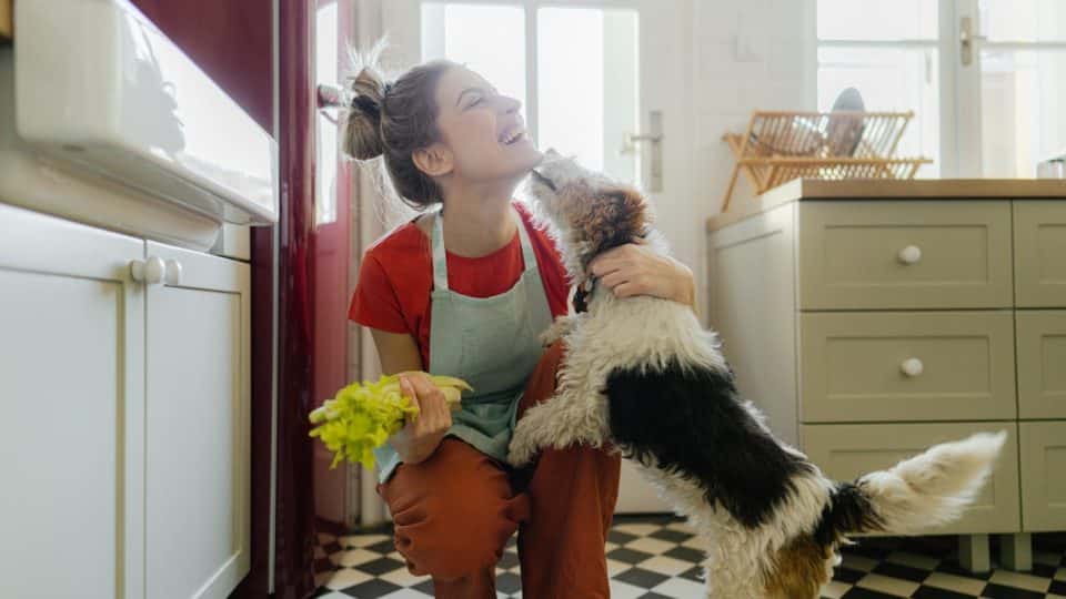 Pet parent feeding their dog celery