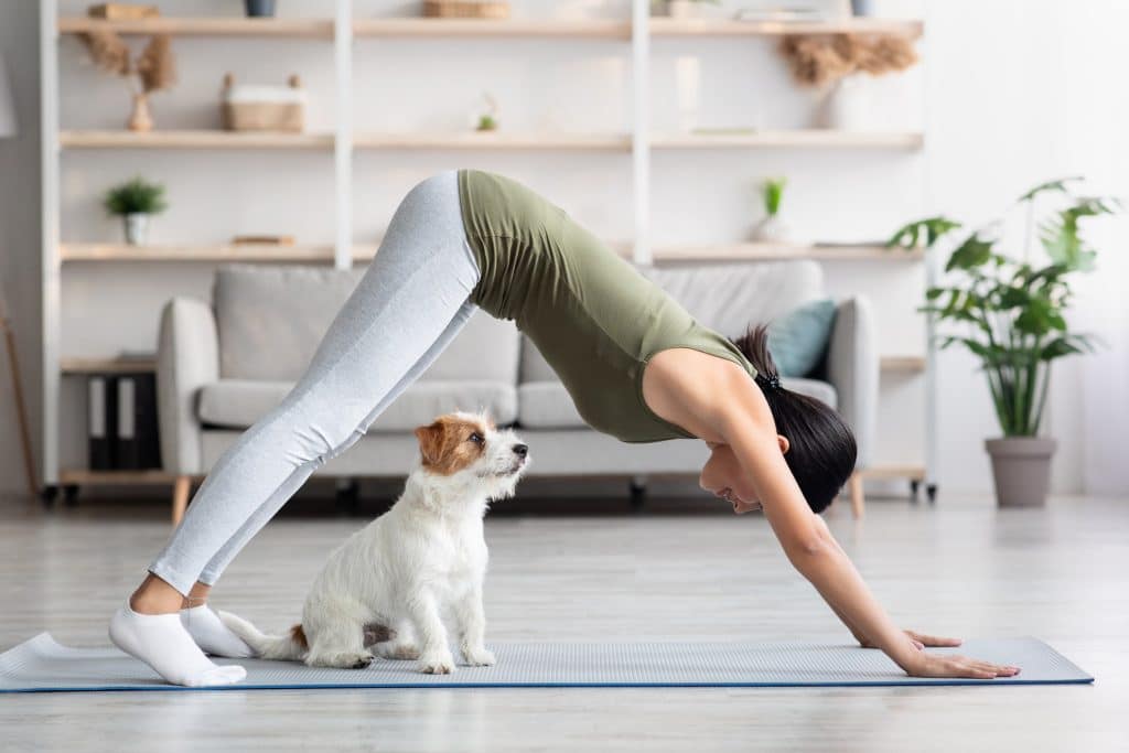 Dog getting exercise with yoga