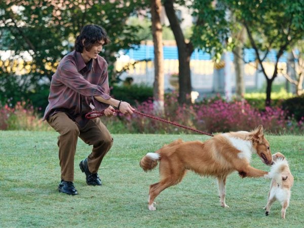 Excited dog greeting smaller dog with hackles raised