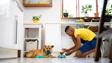 Teenage boy feeding his dog in the kitchen