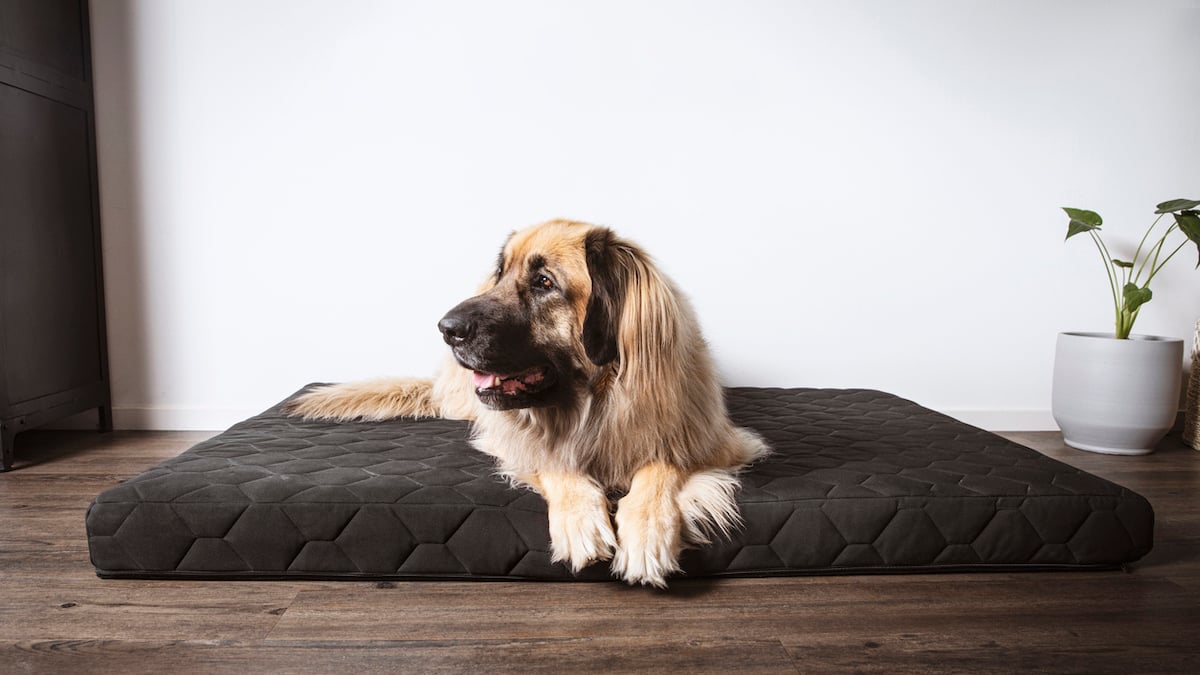 Luxury dog beds Dog Bed in brown eco leather Best dog beds for large dogs with removable cover