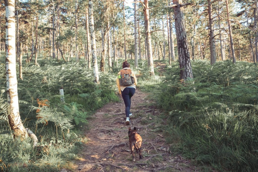 Rear view of an unrecognizable woman exploring the woods along with her dog companion. They're following the path into the deep forest.