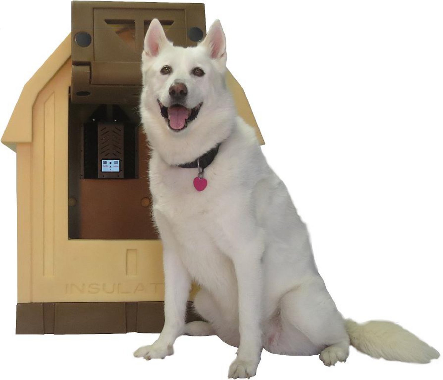 Dog sitting in front of heated dog house