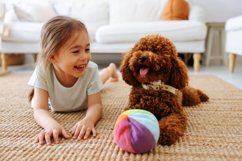 Happy dog playing with a little girl 