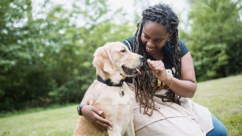 A woman teaching her dog to come outdoors