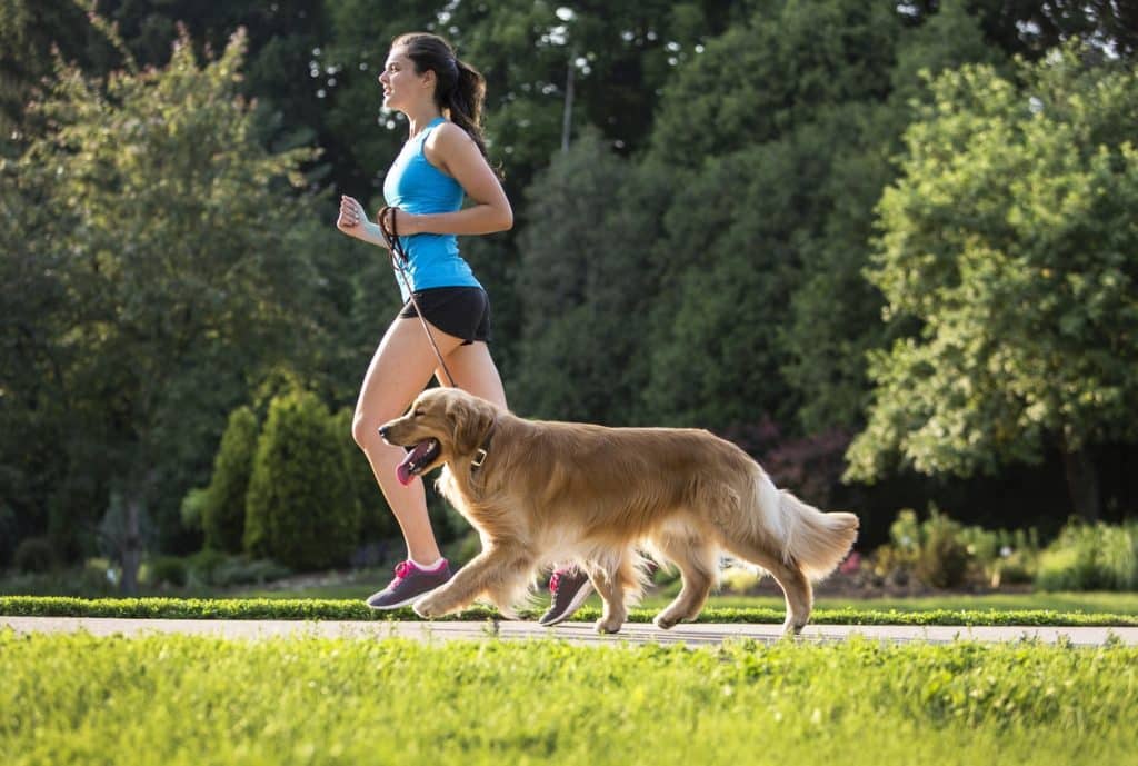 A woman training her dog to run with her 