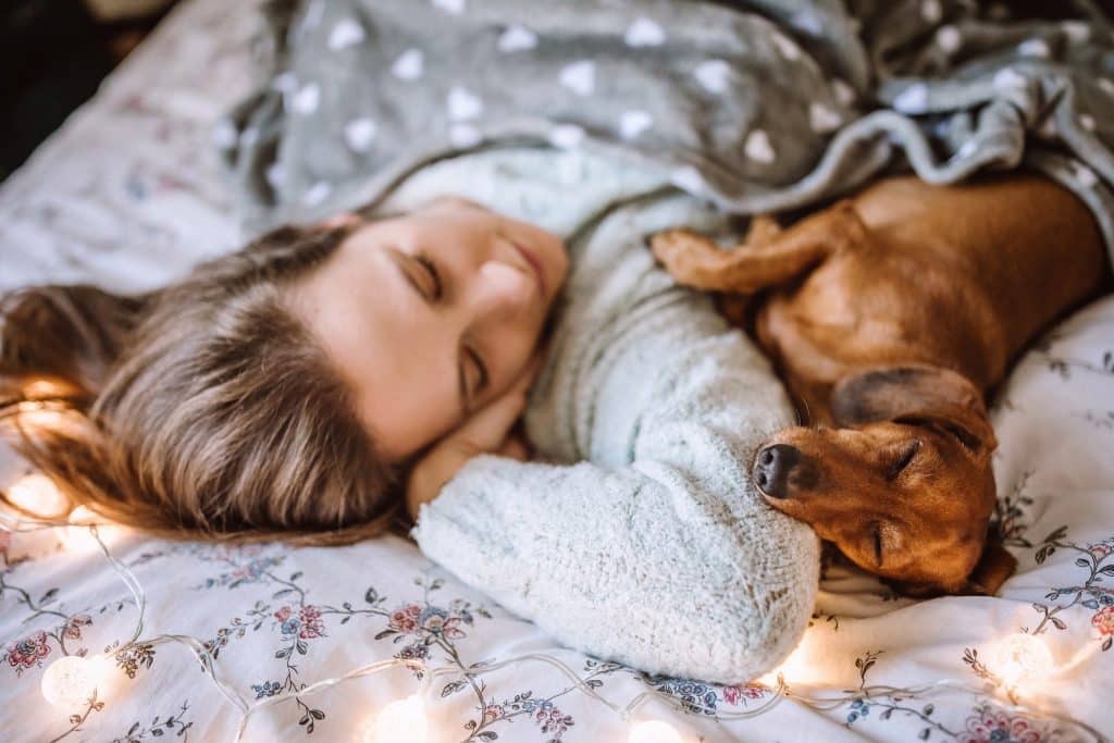 Ein süßer Hund, der mit seiner Haustierbesitzerin im Bett liegt und schläft