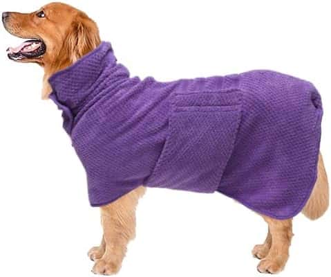 Dog wearing a bathrobe towel