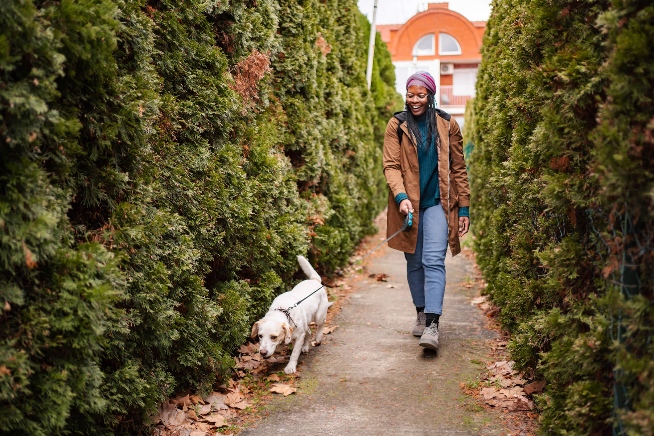 What to Ask Before Hiring a Dog Walker