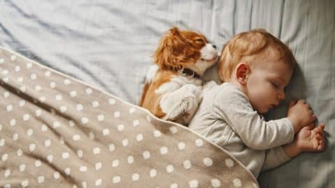 A dog sleeping with a baby