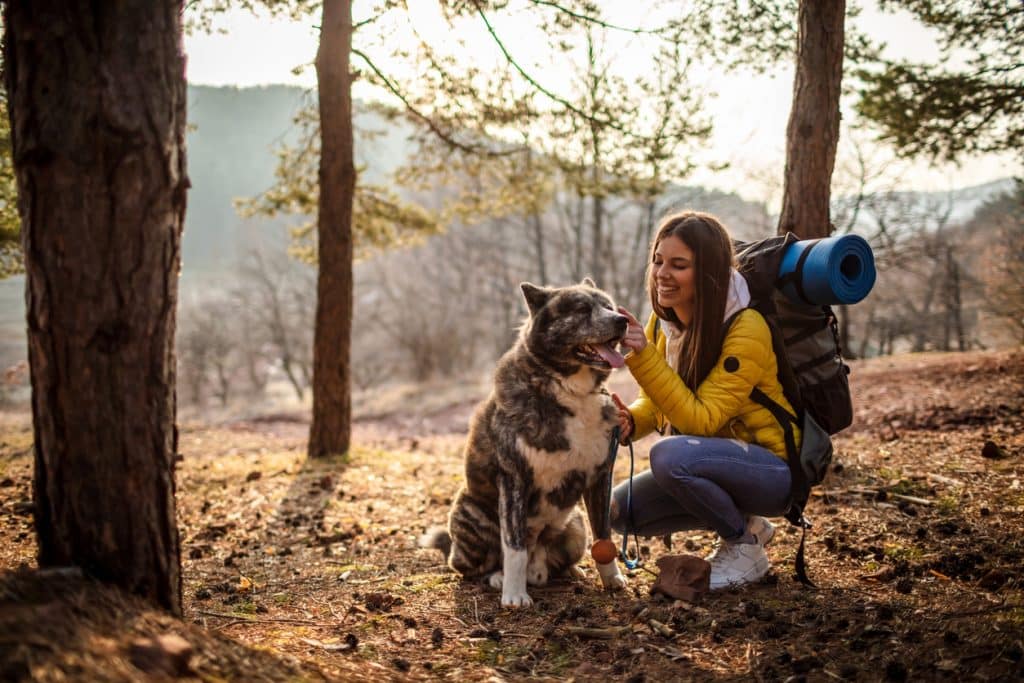 Woman with her dog hiking in the forest, getting away from the city concept.