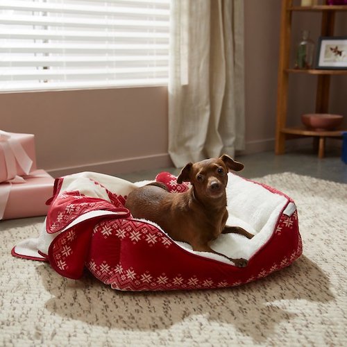 dog laying in Frisco Nordic Fair Isle Dog & Cat Bed & Gift Set