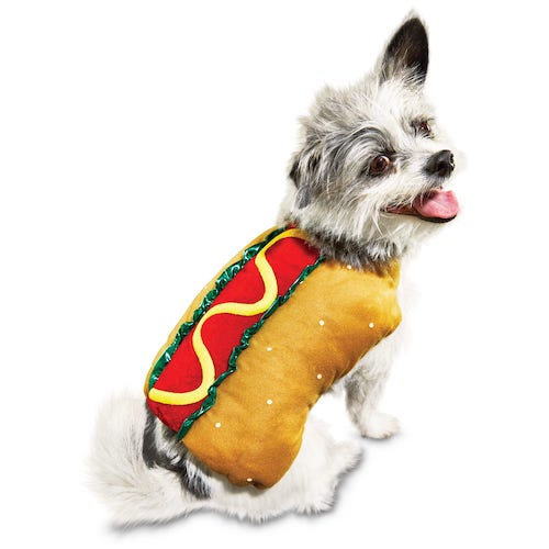 dog in hotdog costume