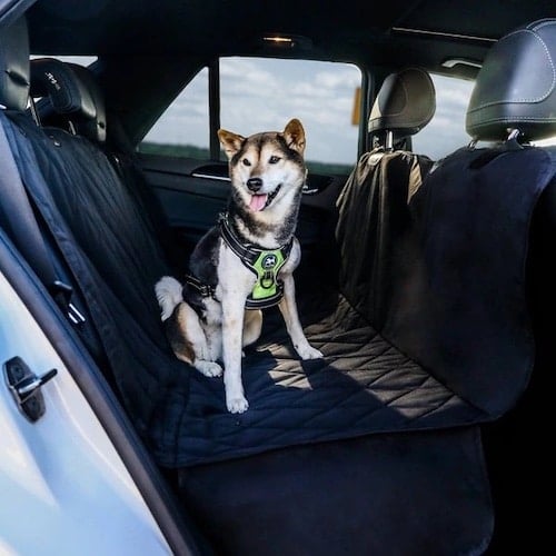 barksbar dog seat car cover