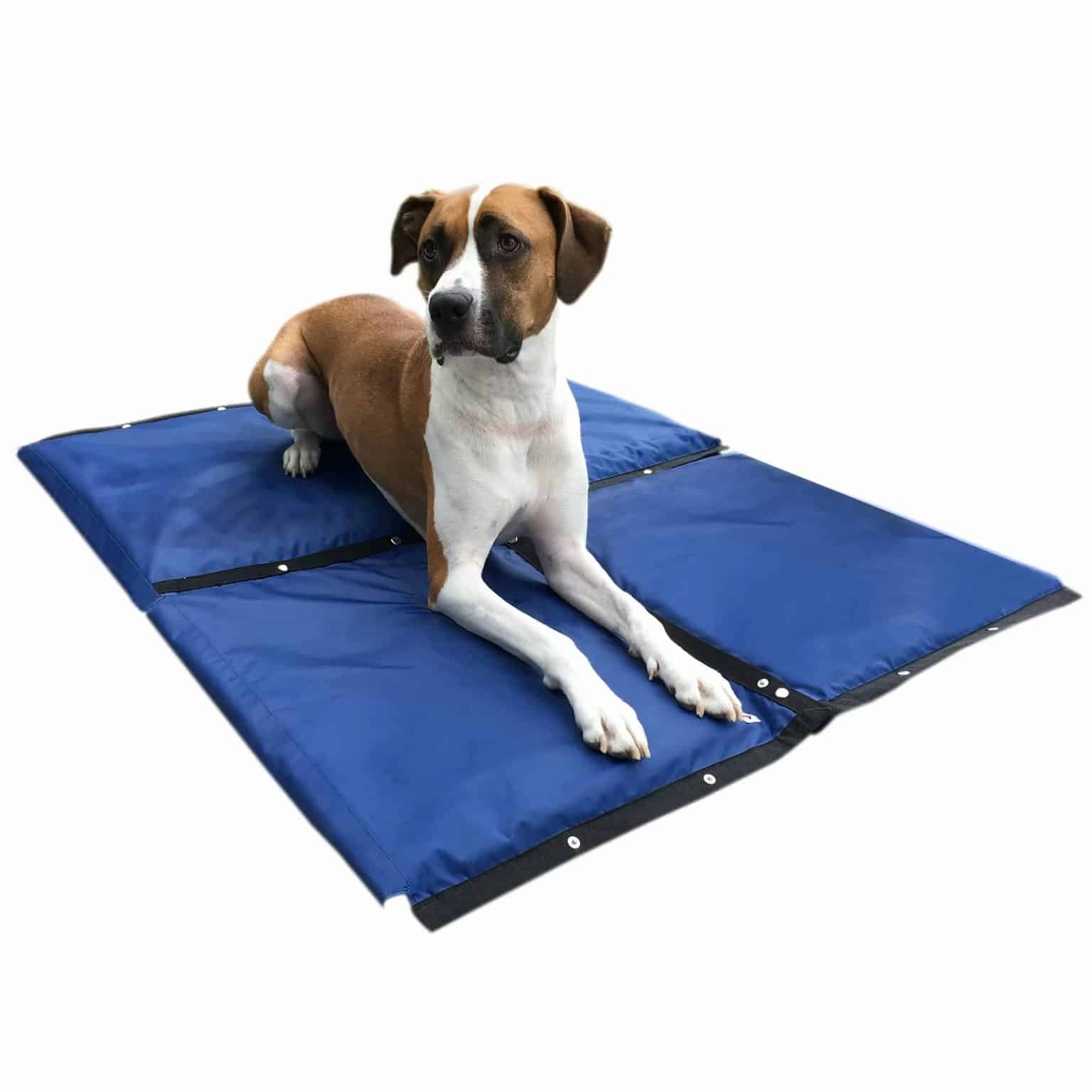 The Best Dog Cooling Mats, Beds, and Pads to Keep a Dog Cool