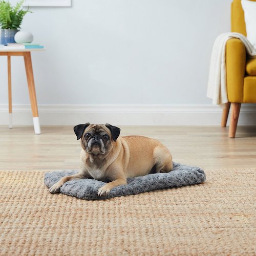 Pug sitting on grey dog crate mat