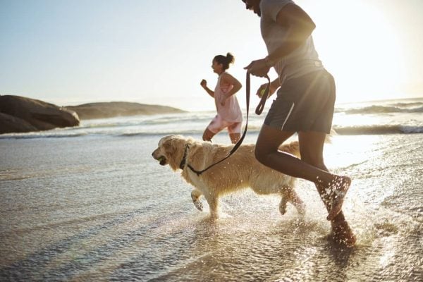 Walking dog on the beach with leash