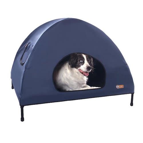 elevated dog cot with tent