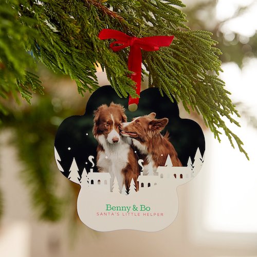 Frisco Paw-Shape Personalized Ornament on Christmas tree