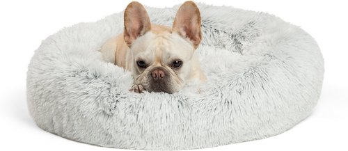 Dog lying in grey donut bed.