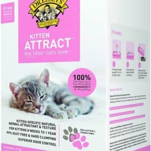 kitten attract litter