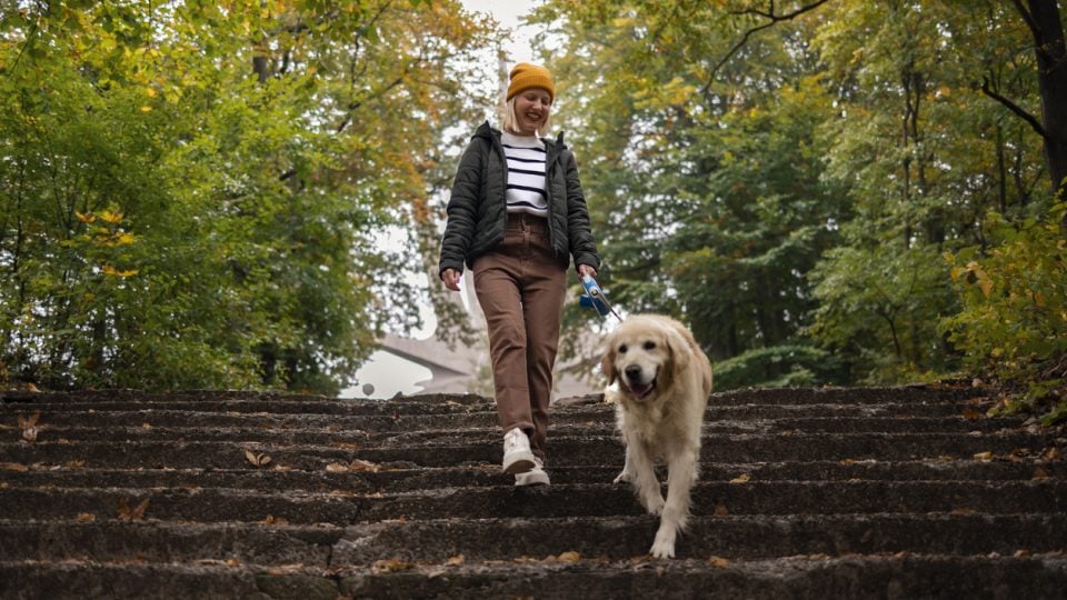 Person walking dog along trail down stairs