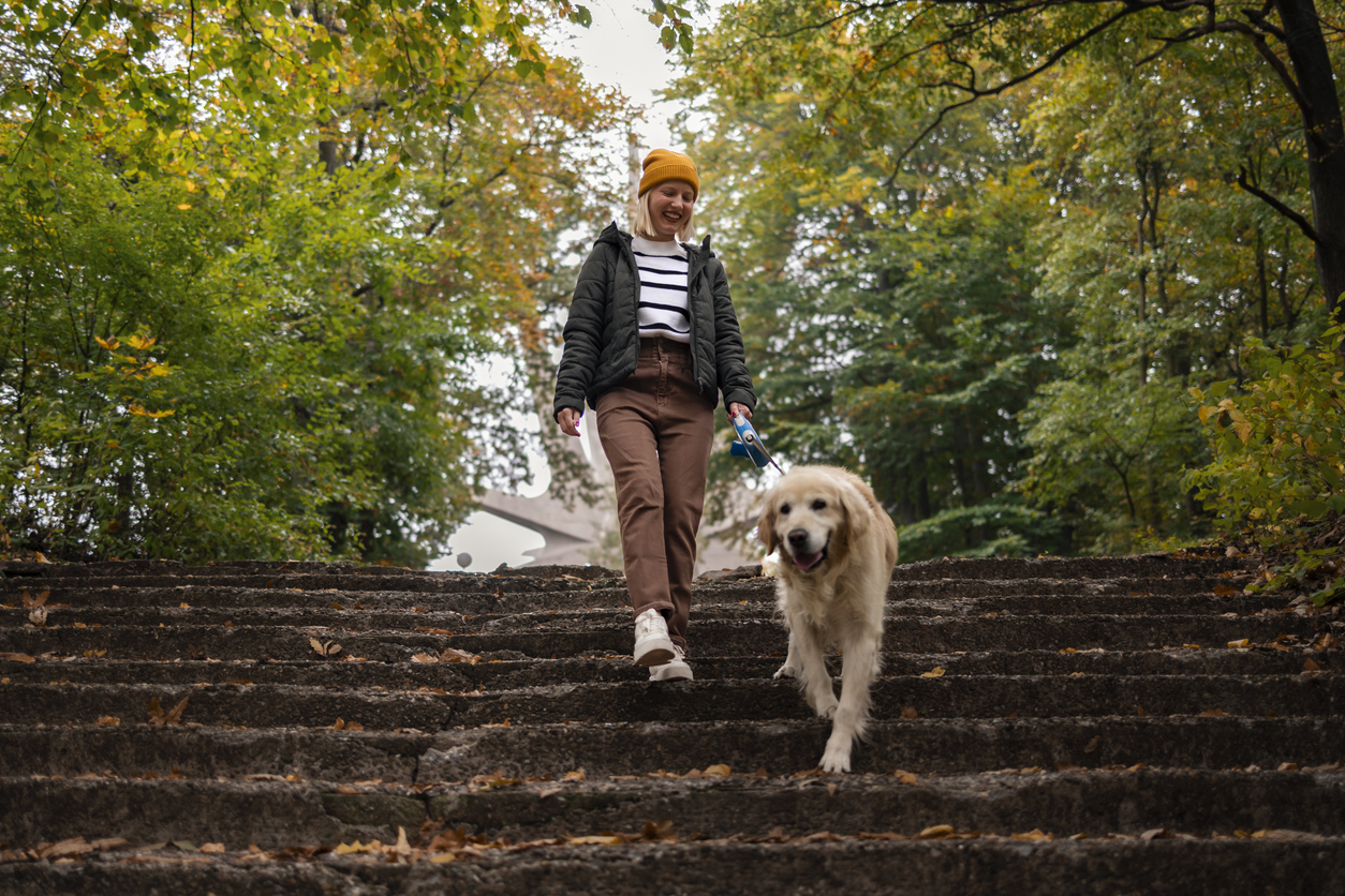 Dog Walker vs. Dog Sitter: Which Is Right for Your Pup?