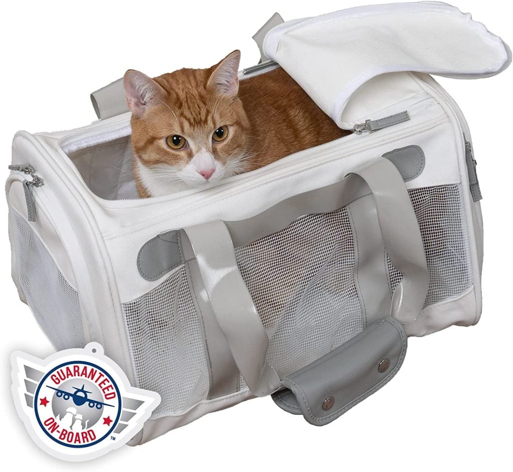 The 8 Best Kitten Carriers for Young Cats