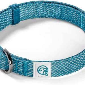 Embark Illuminate dog collar