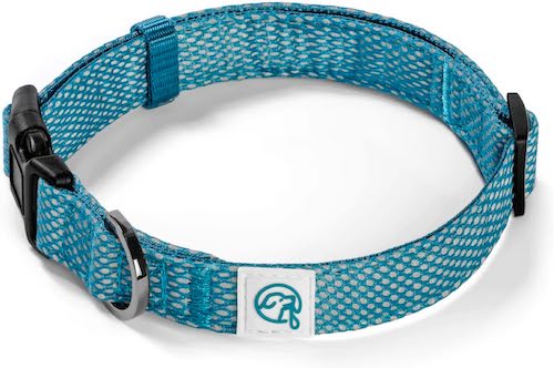 Embark Illuminate dog collar