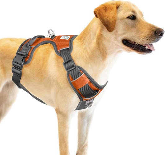 Embark Active Dog Harness for Australian Cattle Dogs