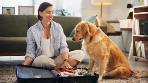 Packing suitcase while dog watches