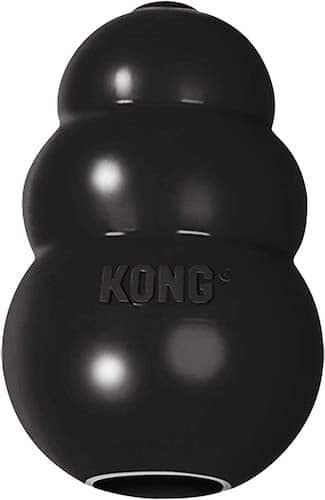 Kong Extreme durable dog chew toy 