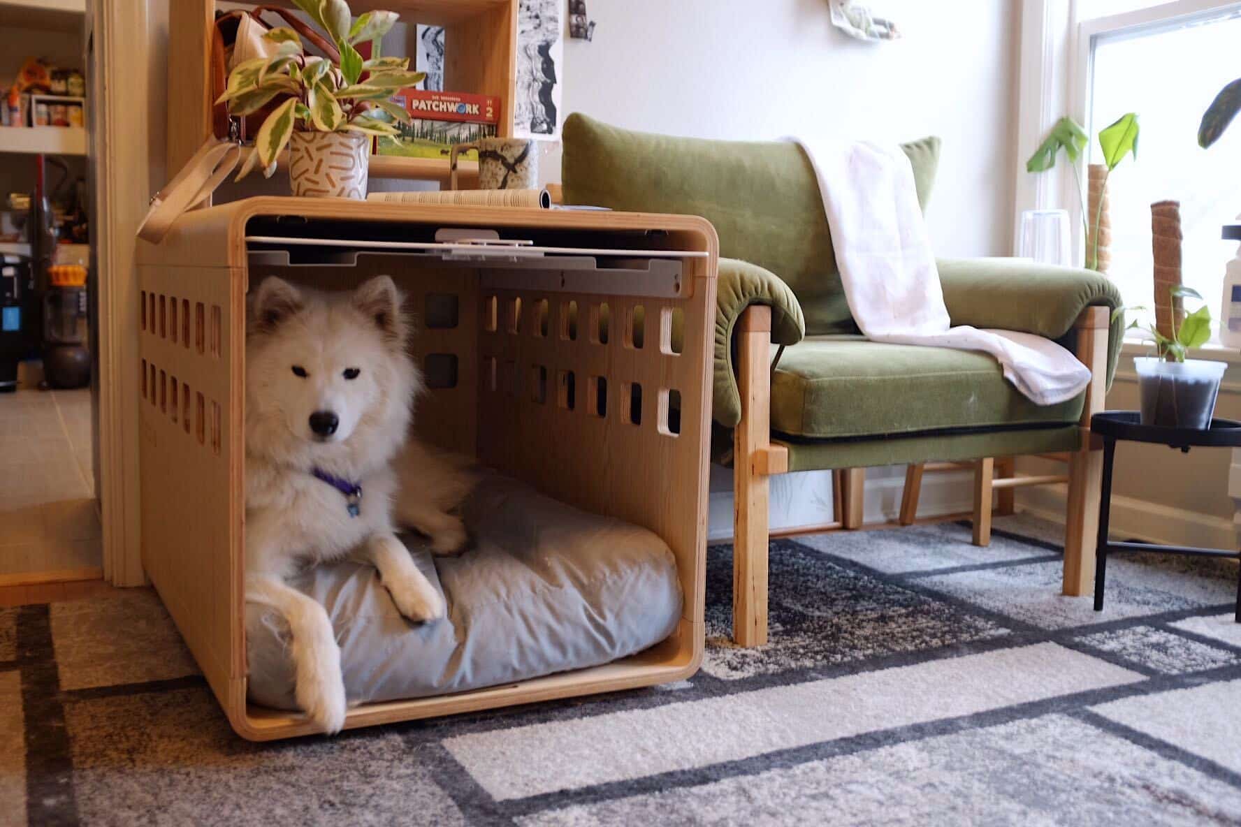 Rover Test Pups Review the Luxurious Fable Dog Crate