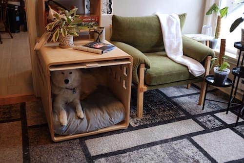 DIY Dog Puzzles: 5 to Try at Home - Great Pet Living