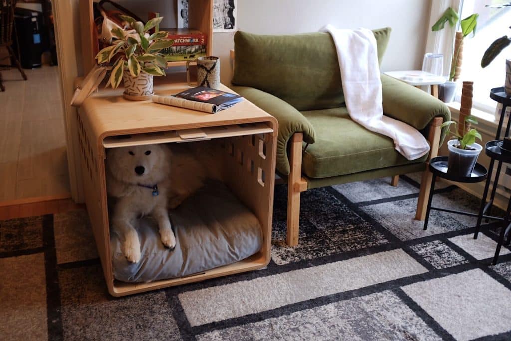 Fable crate with a Samoyed inside