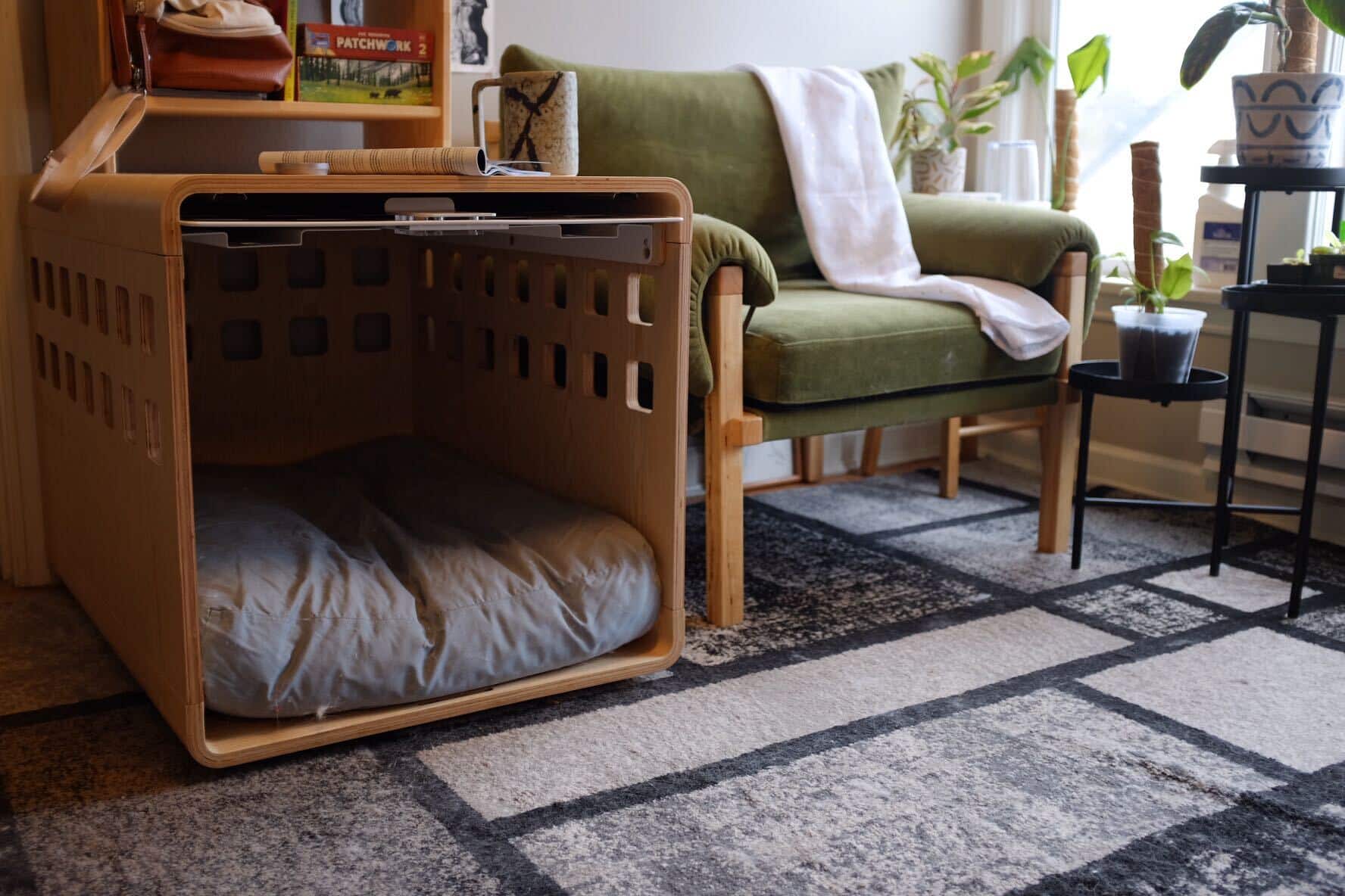 Rover Test Pups Review the Luxurious Fable Dog Crate