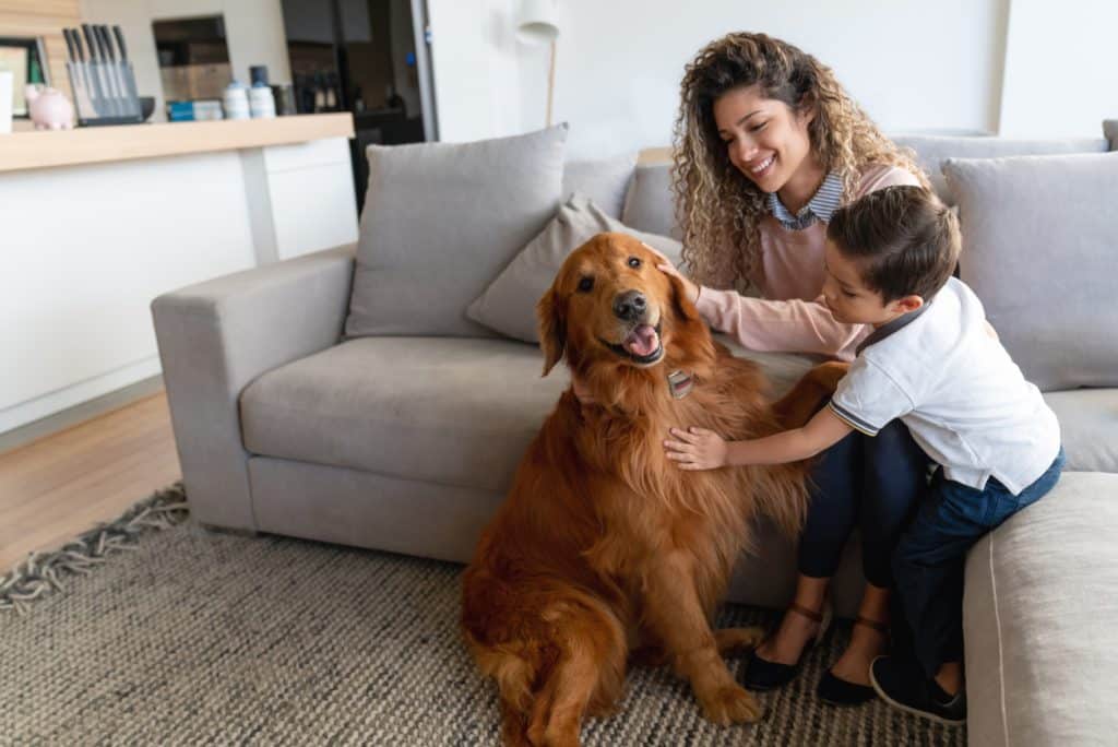 Portrait of a happy mother and son at home petting their dog and smiling â€“ lifestyle concepts