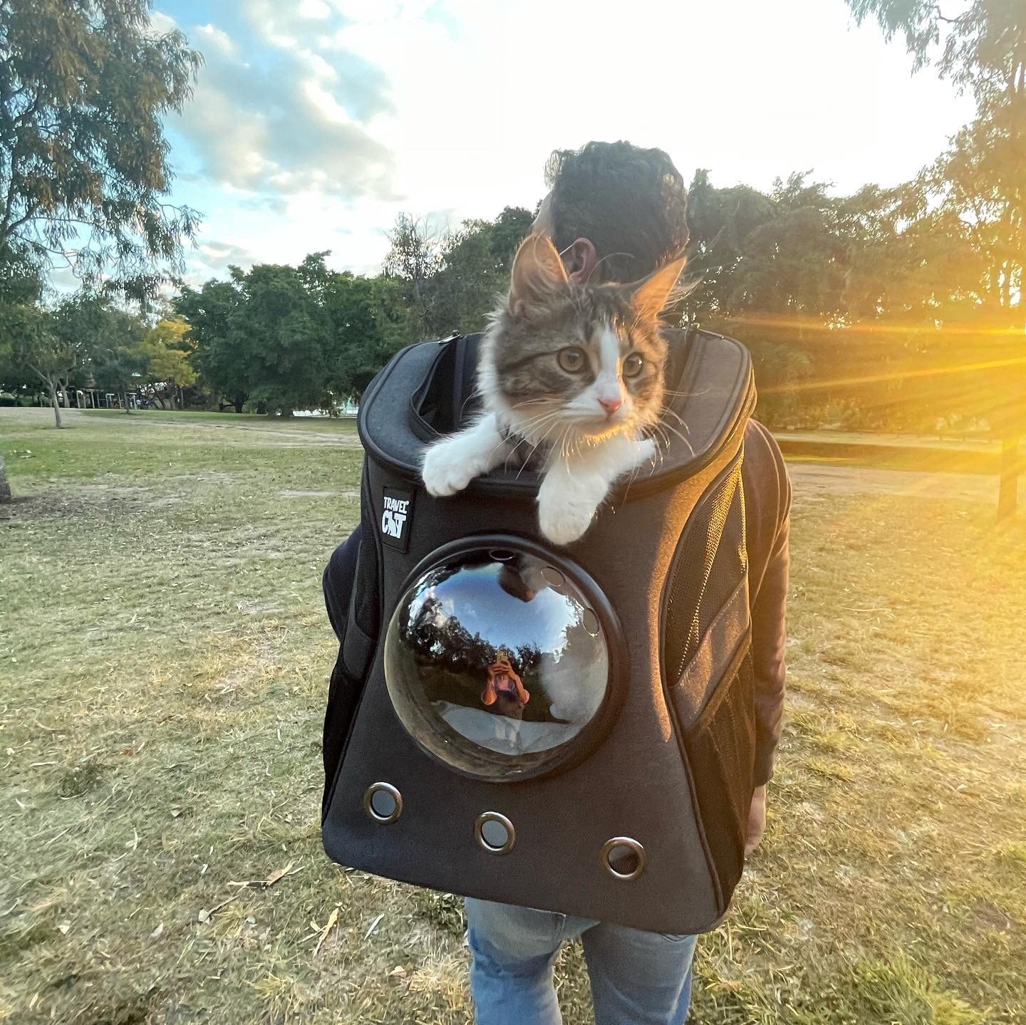 person wearing a cat backpack with bubble front