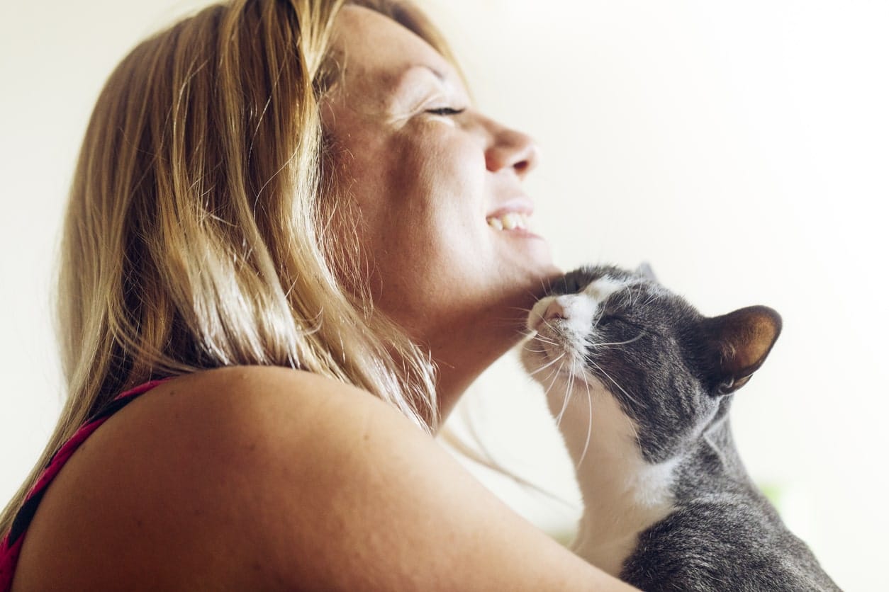 How Do Cats Choose Their Favorite Person?