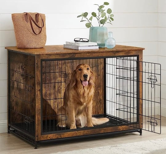 Golden in a Feandrea Dog Crate
