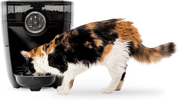Cat investigates Whisker Feeder-Robot