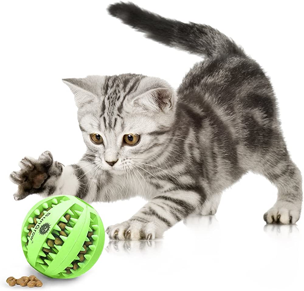 treat dispensing ball for cats